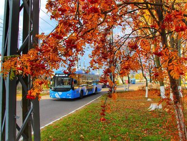 До конца года Петербург получит 20 новых троллейбусов