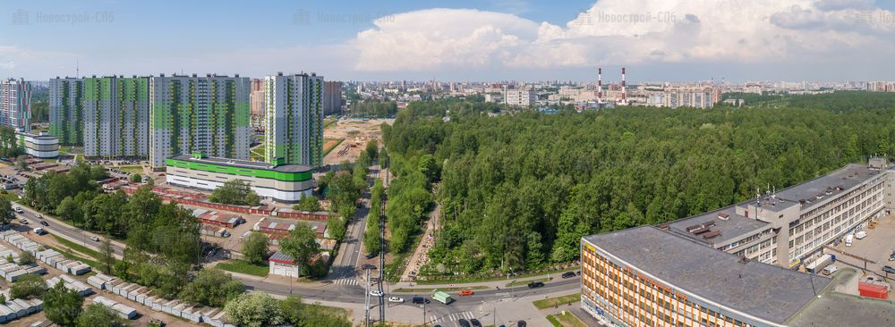 ЖК «Царская столица» и ЖК «Времена года»: сравниваем новостройки у Обводного канала