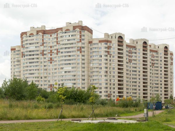 Парк ладожский фото